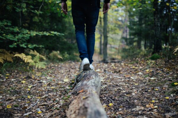 Person walking on fallen log in the woods.