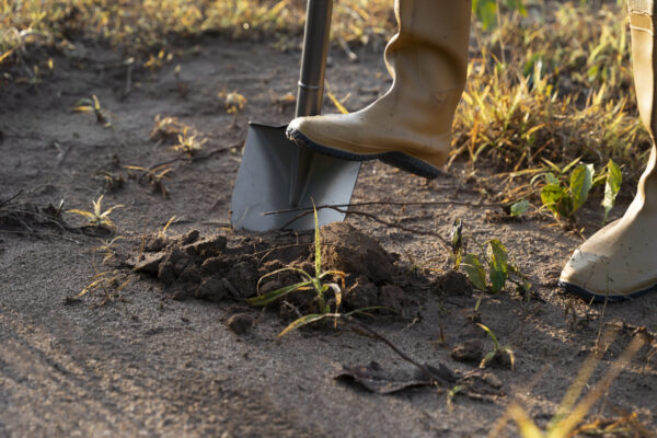 Foot in a boot stepping on a shovel to dig a hole in the ground.